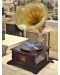 Antique Wind Up Gramophone